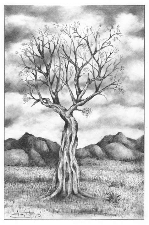 How To Sketch Trees With Pencil at Drawing Tutorials