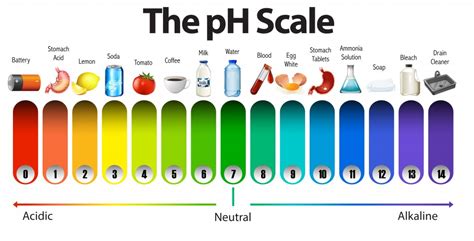 Why Are The pH Levels Of Water So Important?