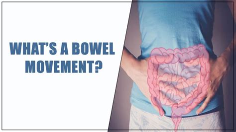 Essential Things to Know About the Adult Bowel Movement – Oklahoma ...