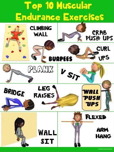 PE Poster: Top 10 Muscular Endurance Exercises | Hold on, Heart rate ...