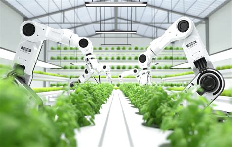 How Robotics is Revolutionizing Agriculture - Ramistech