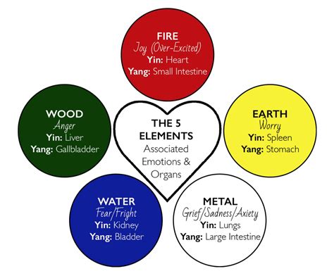 What's Your Five Elements Personality Archetype? — Yin Studio