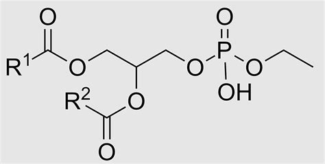 Dimethyl Fumarate, maleic Acid, Succinic acid, fumaric Acid, Malic acid ...