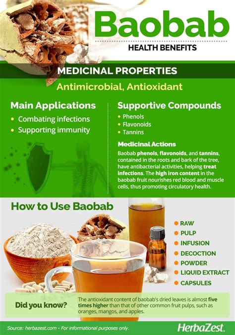 Baobab | Health and nutrition, Herbs for health, Baobab benefits