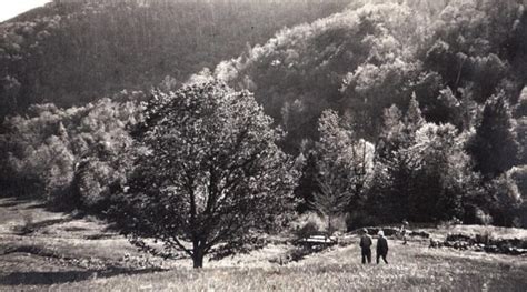 Dark Entry Forest, Inc. - Cornwall Historical Society