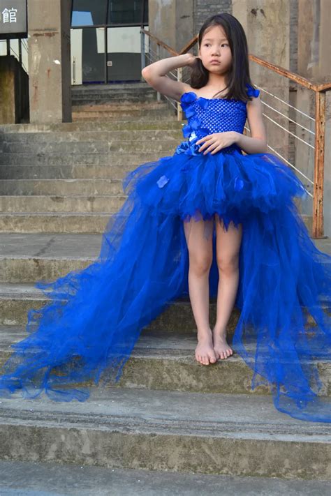 Royal Blue High Low Fluffy Tutu Dress with Hydrangea Flowers with Long ...