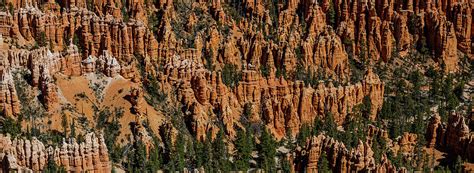 Hoodoo Panorama Photograph by Nicholas McCabe - Fine Art America