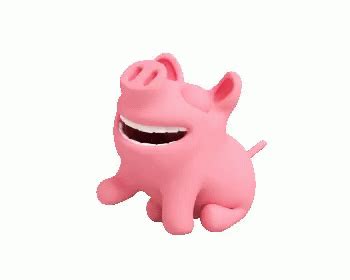 “Laughing Pig”GIF | Tenor