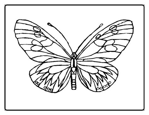 Gambar Free Printable Butterfly Coloring Pages Kids Color Print di ...