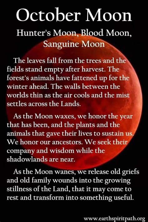 Pin on Wiccan tips | Blood moon rituals, Moon meaning, Blood moon