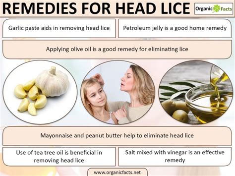 7 Powerful Home Remedies for Head Lice | Organic Facts