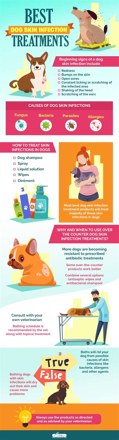 7 Best Dog Skin Infection Treatment (Over-the-Counter Options in 2024)