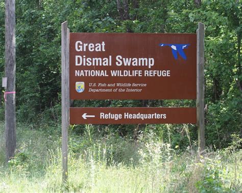 Great Dismal Swamp visit | Birdspix