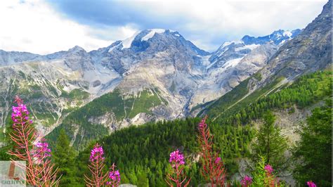 Stelvio National Park - Italy Review