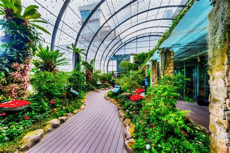 Changi Airport Terminal 3 Outdoor Butterfly Garden - LEPL