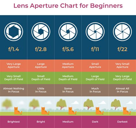 What is Aperture? Understanding Aperture in Photography