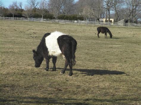 Hammersmith Farm - Newport, Rhode Island