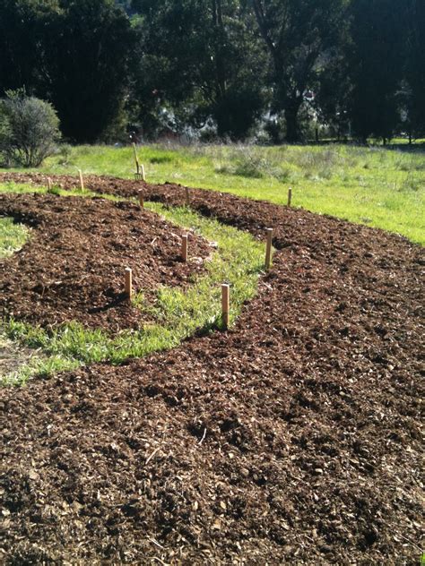 Soul Flower Farm: Sheet Mulching Part 2