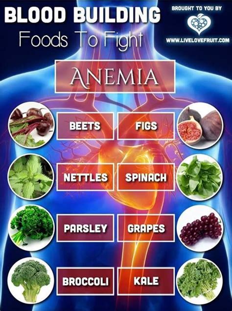 38 best Anemia Health Tips images on Pinterest | Health tips, Healthy ...