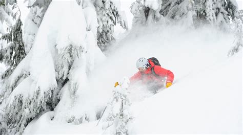 Whistler Cat-Skiing and Snowcat | Tourism Whistler