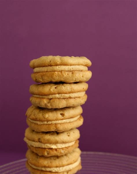 Girl Scout Do-Si-Dos Oatmeal Peanut Butter Cookie Recipe | Cookie ...