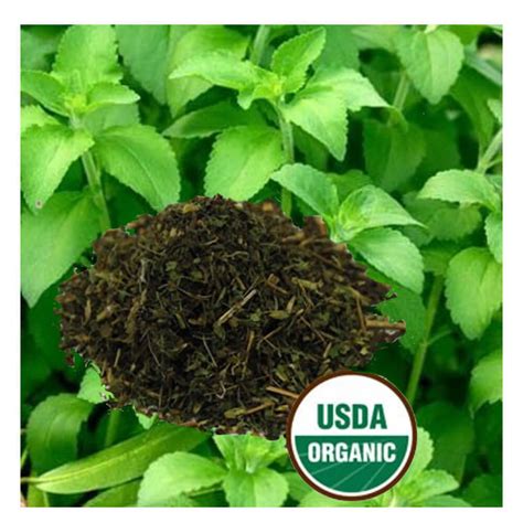 Stevia Leaf Certified Organic Natural Sweetener,r zero glycemic index ...