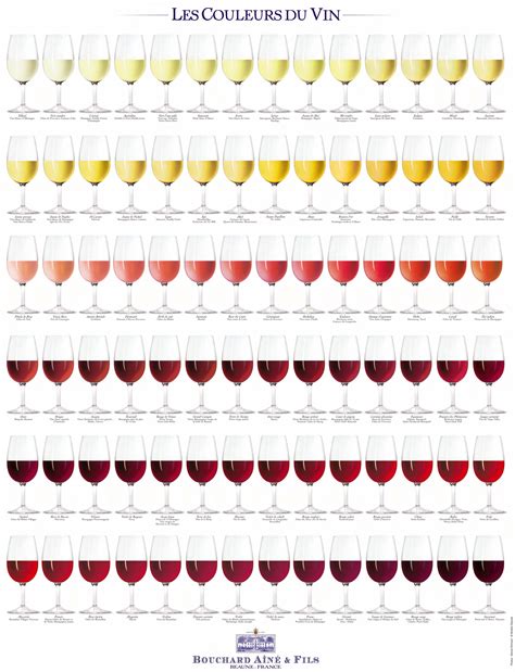 Wine Color – Complete Visual Guide - Social Vignerons