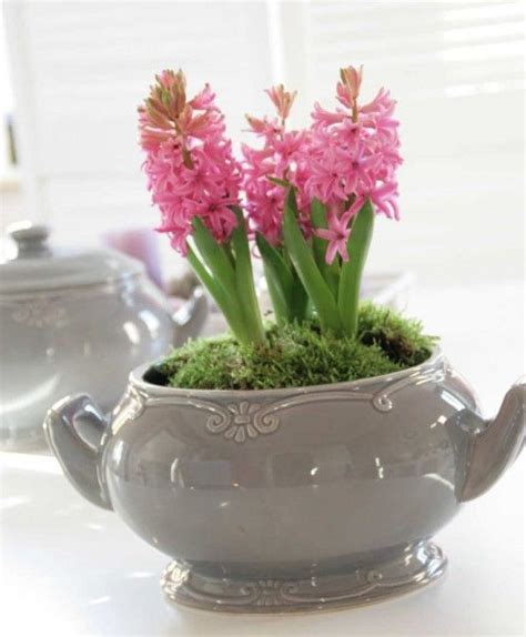 37 Hyacinths Décor Ideas To Breathe Spring In | How to preserve flowers ...