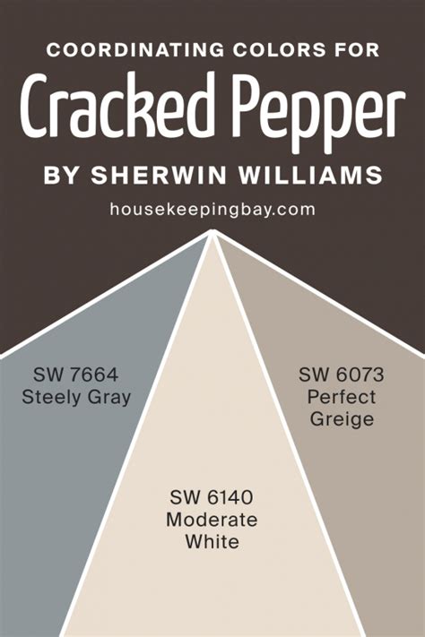 Cracked Pepper SW 9580 Paint Color by Sherwin-Williams