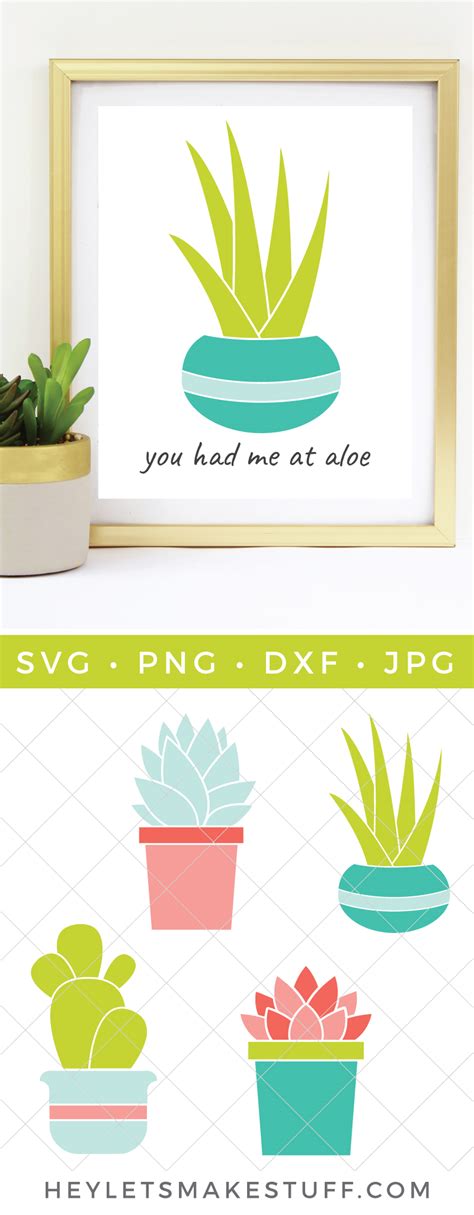 Cactus & Succulent SVG Bundle - Hey, Let's Make Stuff