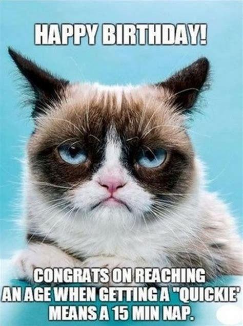 101 Funny Cat Birthday Memes for the Feline Lovers in Your Life | Funny ...