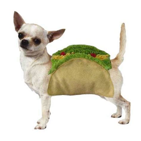 Puppe Love Taco Dog Costume | BaxterBoo