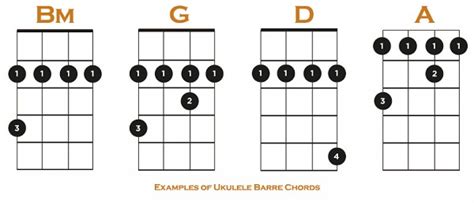 How to Play Barre Chords on Ukulele: 6 Easy Steps and 5 Great Tips!