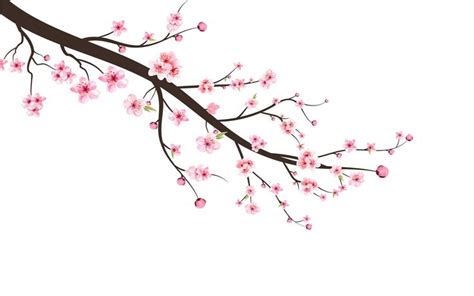 Cherry Blossom Branch with Sakura design - TemplateMonster | Cherry ...