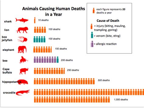 Deadliest Animals Chart