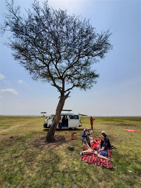 Big Cats of Maasai Mara – Birds of the Air | Big cats, Cats, Travel ...