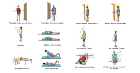 Rotator Cuff Exercises Handout