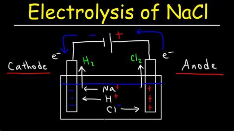 Electrolysis Of Salt Water Half Equations - Tessshebaylo