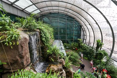 A hidden gem in the Changi airport - Traveller Reviews - Butterfly ...