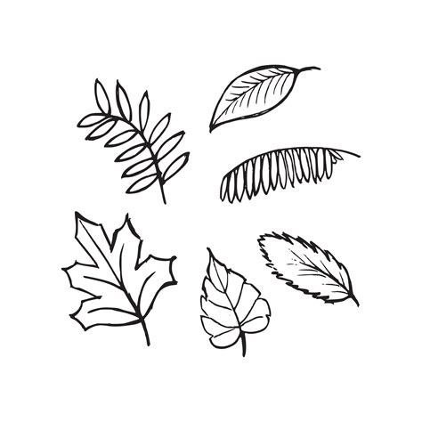 Fall Leaves Black And White Vector Art, Icons, and Graphics for Free ...