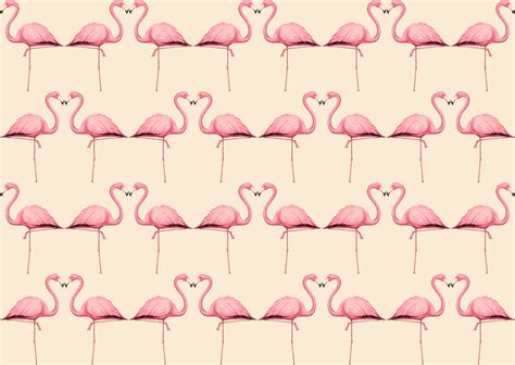 Pink Flamingo Desktop Wallpapers - 4k, HD Pink Flamingo Desktop ...