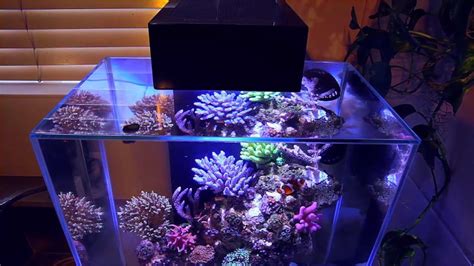 How To Setup A Nano Reef - Mad Hatter's Reef