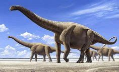 19 Seismosaurus (Jurassic) ideas | diplodocus, jurassic, dinosaur