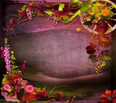 List 100+ Pictures Fall Flower Background Images Sharp