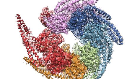 A protein chaperone