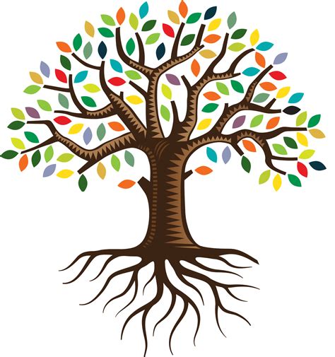 Root QC Family Tree Logo Clip Art Transparent PNG