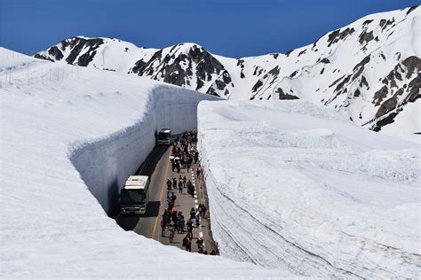 Tateyama Kurabe Alpine Route, Menikmati Jalan yang Berdinding Salju ...