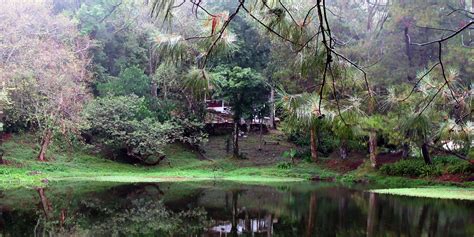 Selva Negra Eco-Lodge - Careli Tours - Nicaragua Tour Operator