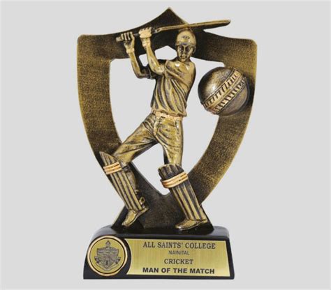 Golden Brass Man Of The Match Cricket Trophy at Rs 120/piece in New ...