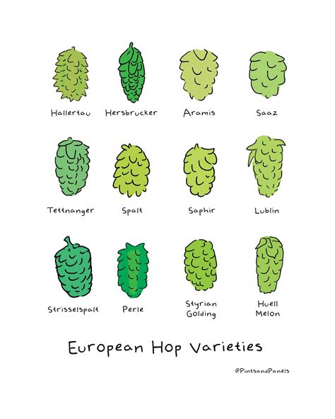 Hops Infographic Poster